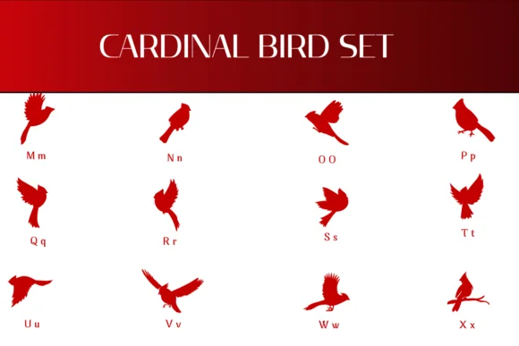Cardinal Bird Set by Heartcraft Atelier — Dingbats Font — thumbnail 3