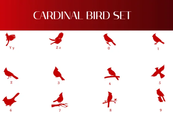 Cardinal Bird Set by Heartcraft Atelier — Dingbats Font — thumbnail 4