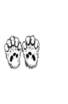 Cat Paws by MOMAT THIRTYONE — Dingbats Font — thumbnail 3
