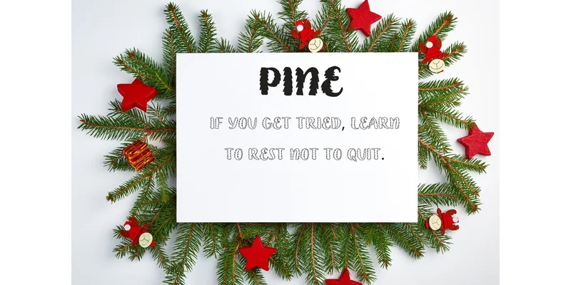 Christmas Pine Font by Suphitchaya by Suphitchaya — Decorative Font — thumbnail 8