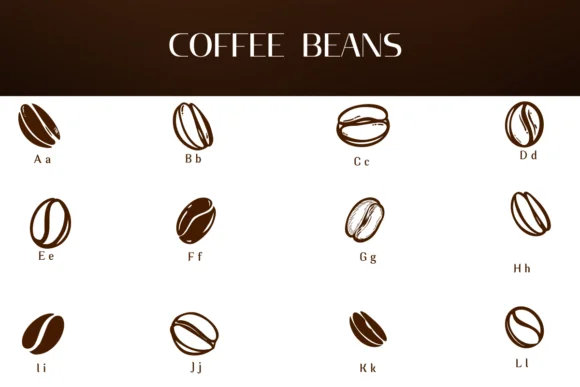 Coffee Beans by Heartcraft Atelier — Dingbats Font — thumbnail 2