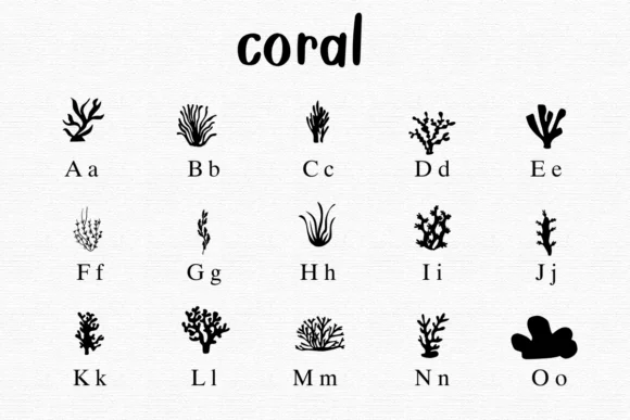 Coral by Nongyao — Dingbats Font — thumbnail 2