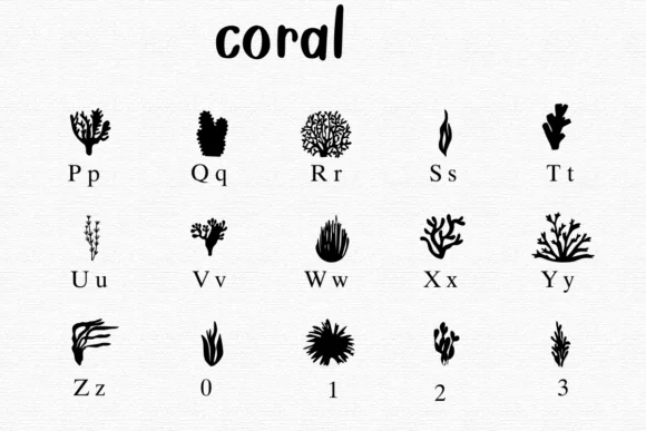 Coral by Nongyao — Dingbats Font — thumbnail 3