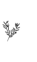 Crazy Flowers by MOMAT THIRTYONE — Dingbats Font — thumbnail 3
