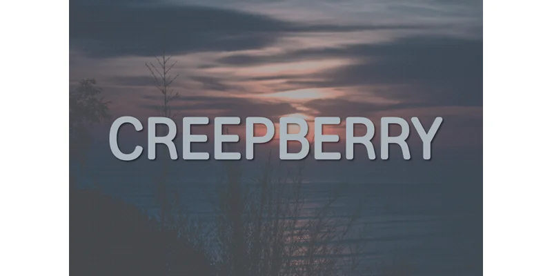 Creepberry Font by A Christie — Sans Serif Font