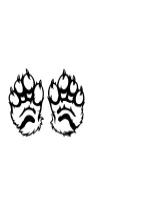 Cute Cat Paws by MOMAT THIRTYONE — Dingbats Font — thumbnail 3