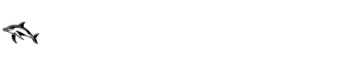 Cute Dolphin by MOMAT THIRTYONE — Dingbats Font — thumbnail 4
