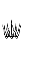 Cute Hawaiian Tribal Crown by MOMAT THIRTYONE — Dingbats Font — thumbnail 3