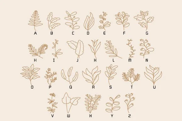 Decor Leaves by DesignFour — Dingbats Font — thumbnail 2
