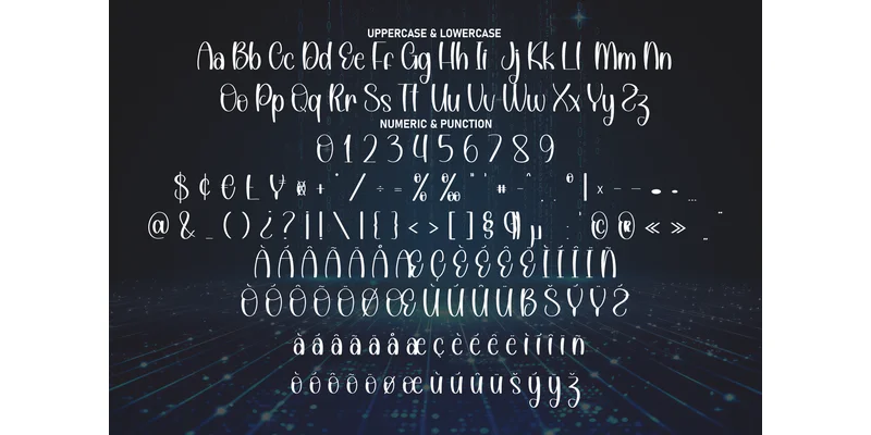 Digital Signature Font by Robbots stores — Display Font — thumbnail 8