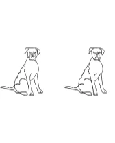 Dog Art Line by Heartcraft Atelier — Dingbats Font — thumbnail 8