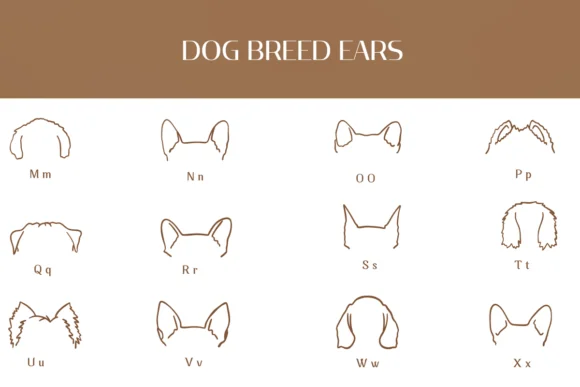 Dog Breed Ears by Heartcraft Atelier — Dingbats Font — thumbnail 3