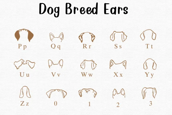 Dog Breed Ears by Nongyao — Dingbats Font — thumbnail 3