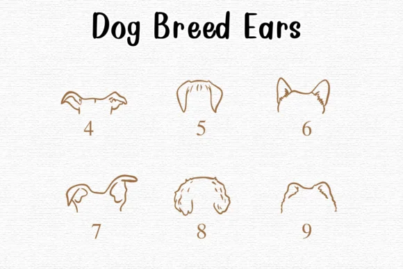 Dog Breed Ears by Nongyao — Dingbats Font — thumbnail 4