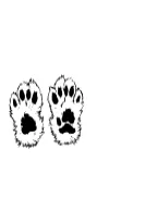 Dog Paws Wow Wow by MOMAT THIRTYONE — Dingbats Font — thumbnail 3