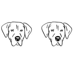 Dog Portrait by Heartcraft Atelier — Dingbats Font — thumbnail 8