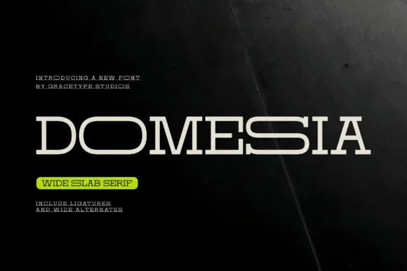 Domesia by Gracetypestudio — Slab Serif Font