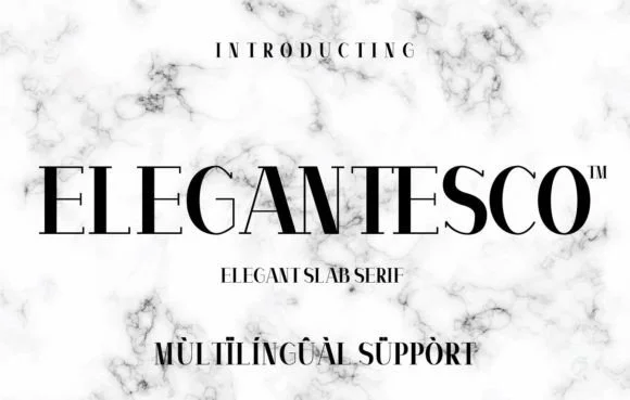 Elegantesco by Minimalistartstudio β Slab Serif Font