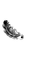 Energy Feather by MOMAT THIRTYONE — Dingbats Font — thumbnail 3