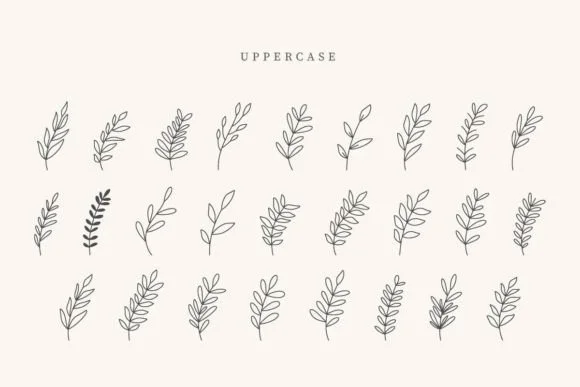 Estero Leaves by CraftedType Studio — Dingbats Font