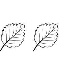 Fall Autumn Leaf by Sirinart — Dingbats Font — thumbnail 8