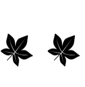 Fall Autumn Leaf by Ketsarin — Dingbats Font — thumbnail 8