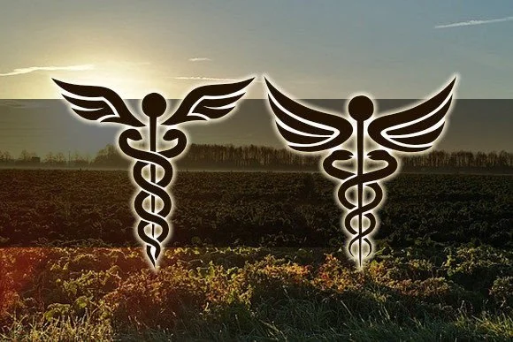 Farmacy by vladimirnikolic — Dingbats Font — thumbnail 3