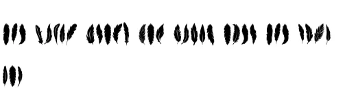 Feather by Ketsarin — Dingbats Font — thumbnail 8