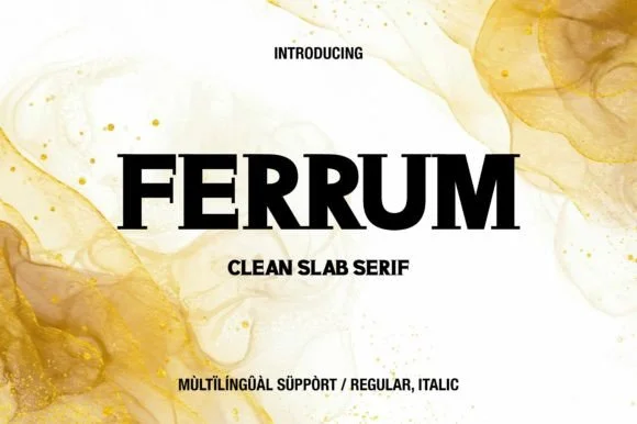 Ferrum by Minimalistartstudio β Slab Serif Font