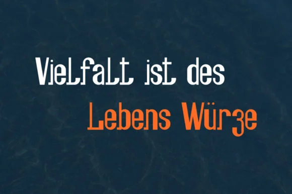 Fesch by yuryfrom — Slab Serif Font — thumbnail 4