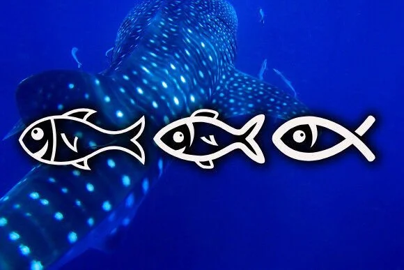 Fishes by vladimirnikolic — Dingbats Font — thumbnail 2