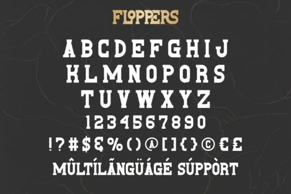 Floppers by NoahType — Slab Serif Font — thumbnail 4