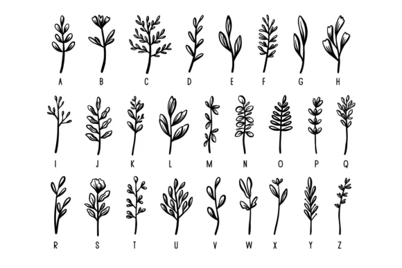 Flower and Leaves by Nyla.studio — Dingbats Font — thumbnail 6