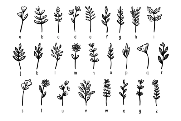 Flower and Leaves by Nyla.studio — Dingbats Font — thumbnail 7