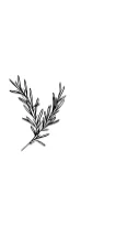 Flower Flower by MOMAT THIRTYONE — Dingbats Font — thumbnail 3