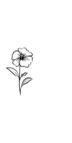Flower &amp; Leaves by MOMAT THIRTYONE — Dingbats Font — thumbnail 3