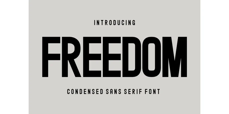 Freedom Font by CraftedType Studio — Sans Serif Font