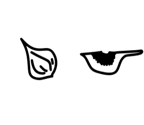 Fruits and Tools by Apollo no.64 — Dingbats Font — thumbnail 5