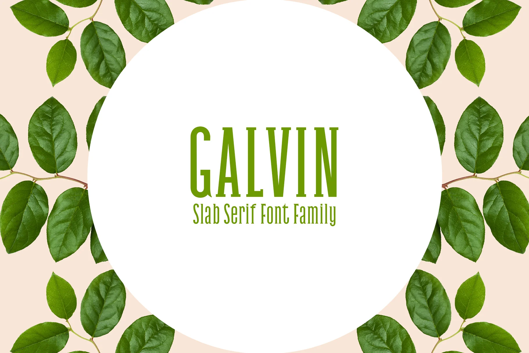 Galvin Family Pack by creativetacos β Slab Serif Font
