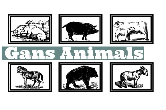 Gans Animals by Intellecta Design — Dingbats Font