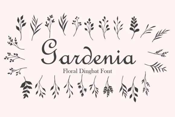 Gardenia by Minimalist Eyes — Dingbats Font