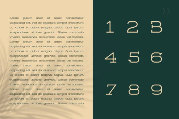 Gorila by Design Stag — Slab Serif Font — thumbnail 3