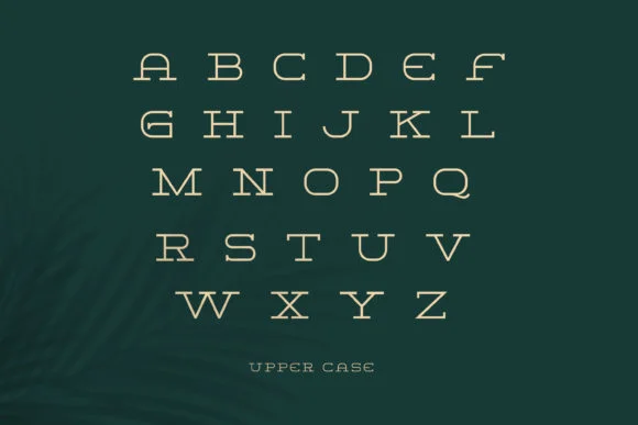 Gorila by Design Stag — Slab Serif Font — thumbnail 4