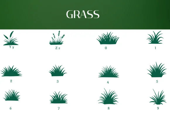 Grass by Heartcraft Atelier — Dingbats Font — thumbnail 4
