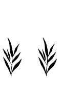 Hand Draw Nature by Heartcraft Atelier — Dingbats Font — thumbnail 8