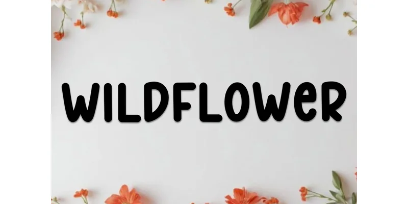 Happy Honey Font by FreshTypeINK — Display Font — thumbnail 2