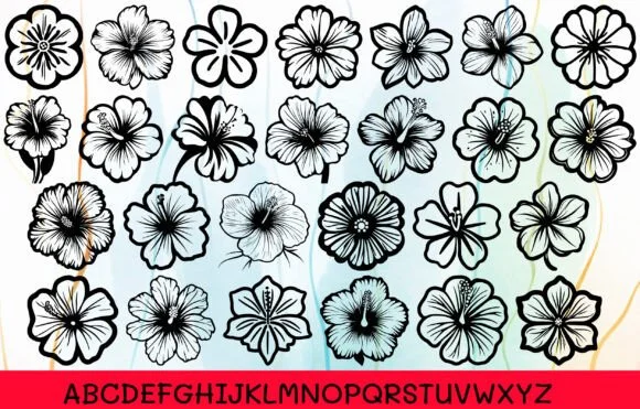 Hibiscus Flower by MOMAT THIRTYONE — Dingbats Font — thumbnail 2