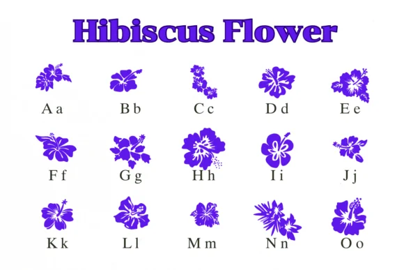 Hibiscus Flower by Nongyao — Dingbats Font — thumbnail 2