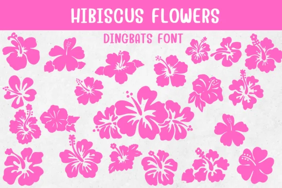 Hibiscus Flowers by Sontaya — Dingbats Font