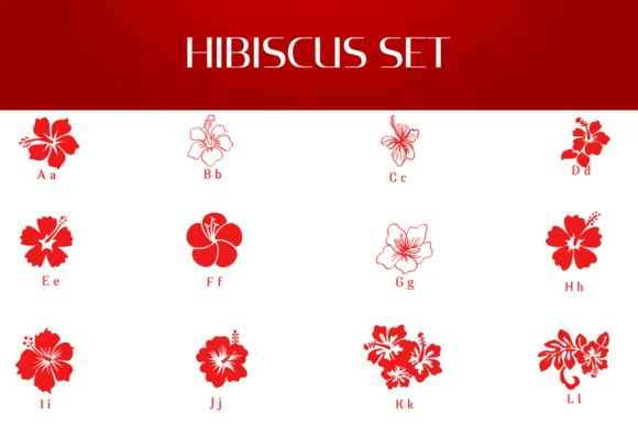 Hibiscus Set by Heartcraft Atelier — Dingbats Font — thumbnail 2